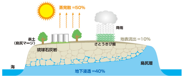 Characteristics of Hydro Calcium Powder