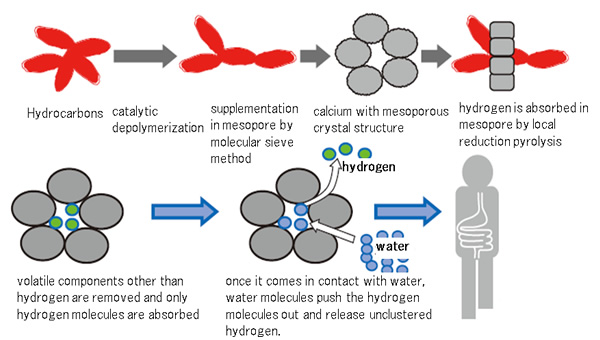 Hydrogen absorption mechanism